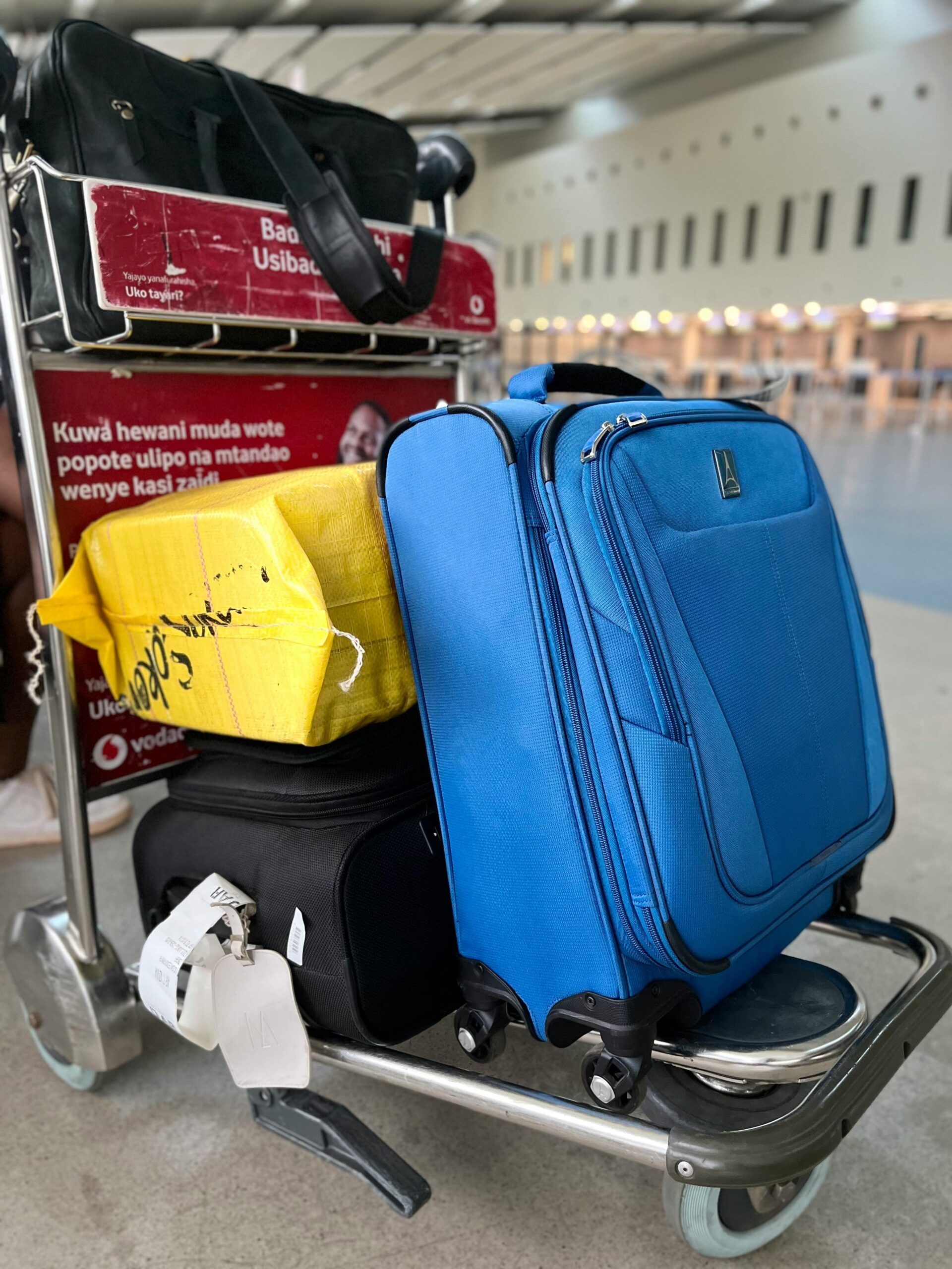 Student with Luggage